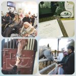 دوريات المجاهدين تحبط تهريب ٦٦ كجم حشيش وتضبط ٢٨ مركبة استخدمت في التهريب والقبض على ١٥٧٧ متسلل ومخالف.