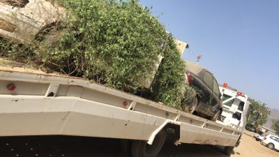 بلدية محافظة محايل تنفذ حملة لنقل هياكل السيارات التالفة والقديمة والمتروكة عشوائيا