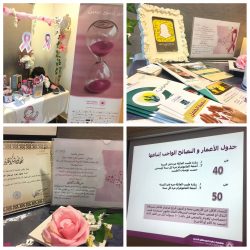 النسخة الثانية من مهرجان العلوم و التكنولوجيا العالمي بأرض الحضارات