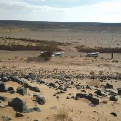 أخضر الأثقال بطل غرب آسيا للناشئين ووصيفا بالشباب والكبار