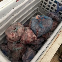 الملحم في زيارة لمتوسطة طلحة
