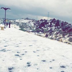 الفضلي يعتمد وحدة لأبحاث البن بجازان