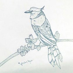 النموذجي بطلاً للعرس الرياضي بمهرجان الطرف