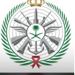 الجدعان يستعرض تجربة المملكة الاقتصادية أمام وزراء مالية مجموعة العشرين