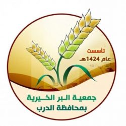 الدبلوماسية