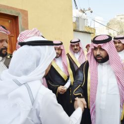 “انتفاضة ملـك “