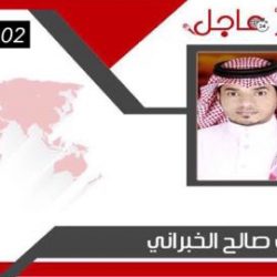 المراجعة الداخلية وتقليل المخاطر