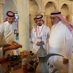 أكبر كمية أشجار زيتون بالعالم بمنطقة الجوف