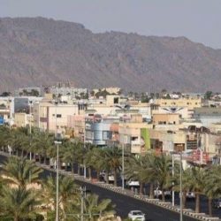 مستوصف غامد الزناد يحتفل باليوم العالمي للتحصين
