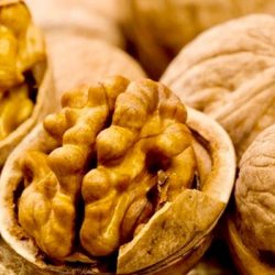 وزارة البيئة والمياه والزراعة بالعاصمة المقدسة تقيم ندوة إرشادية عن سوسه النخيل الحمراء