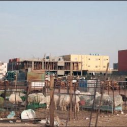 العسل غذاء الصيف والهدية الأولى لأهالي وزوار منطقة الباحة