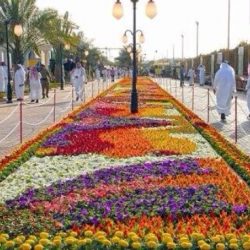 وزارة الإسكان: أكثر من 400 ألف وحدة سكنية تم طرحها بالسوق عام 2017