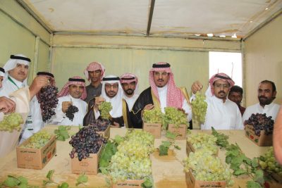 محافظ بلقرن يفتتح مهرجان “العنب الثامن” لعام ١٤٣٩هـ