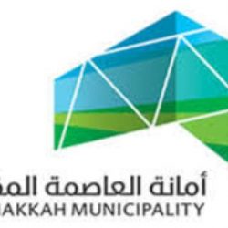 تعيين الفنان “عبدالله العامر” نائباً أول لرئيس الاتحاد العام للمنتجين العرب