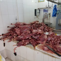 مصادرة اسماك ولحوم مجهولة المصدر بالمعابدة