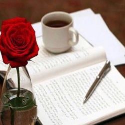أمانة الأحساء تحتفل بعيد الأضحى