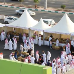 البريد السعودي يواصل مشاركته بمهرجان الرمان الوطني بشحن قرابة 8 طن لجميع مناطق المملكة