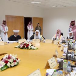 540 طفل يلون سماء الاحساء بالوردي