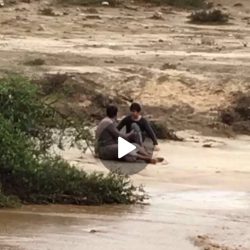 وفاة حالتين وثمان إصابات حصيلة انقلاب سيارة على طريق ثول – ينبع