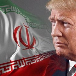 الرئيس الصيني يفتتح معرض الصين الدولي الأول للاستيراد