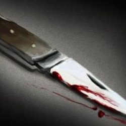 مهرجان الداير للبُن موارد تقدر بـ ٦٠ مليونًا ونافذة لتوطين الزراعة ودعم للاقتصاد الوطني