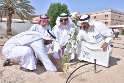 زراعة الاحساء تشّجر معهد الأمل