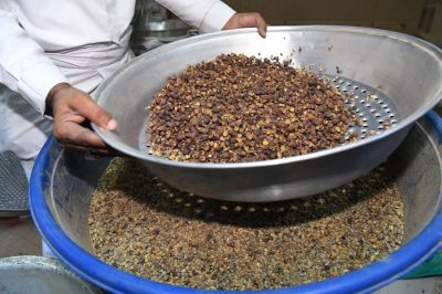 مهرجان الداير للبُن موارد تقدر بـ ٦٠ مليونًا ونافذة لتوطين الزراعة ودعم للاقتصاد الوطني