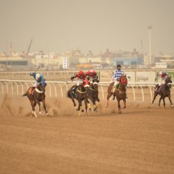 انطلاق مهرجان فرحة وطن للتسوق والترفيه وسط حضور جماهيري كبير