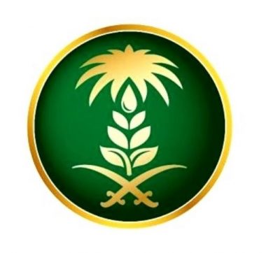 البيئة: وصول أول إرسالية من الأغنام الرومانية إلى المملكة
