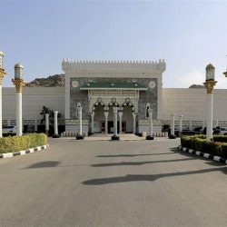 انطلاق مهرجان فرحة وطن للتسوق والترفيه وسط حضور جماهيري كبير