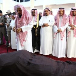 محافظ ميسان في ذكرى البيعة : عام حافل ومشهداً تاريخياً