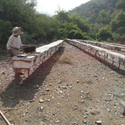 المملكة تحتفل بإختيار الرياض عاصمة للإعلام العربي