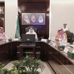 أمين العاصمة المقدسة يوجه بنقل حظائر الإغنام إلى خارج النطاق العمراني