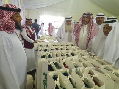 بالصور: محافظ خليص يفتتح الموقع الثاني لمبادرة درب الأنبياء بوادي قديد