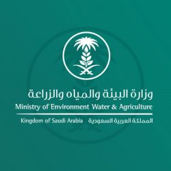 ” الماجد ” تقدم الورشة التشكيلية بفنون الأحساء