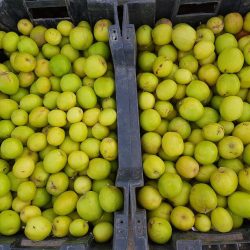 العلاوة المبتورة ( نظام أم سرقة ) ؟