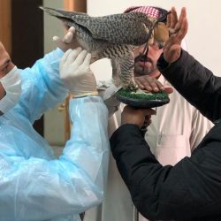 مكافحة التسول بالأحساء يحتفي بيوم اليتيم العربي “أسرتي عطاء لاينتهي”
