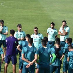 ميدو مدربا للوحدة حتى نهاية الموسم