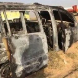 الزعفران لعلاج اضطراب «فرط الحركة ونقص الانتباه»
