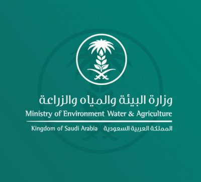 مكافحة الاحتطاب في وادي “وبح ونسيت” بمحافظة الكامل