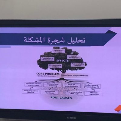 مكتبة الملك فهد العامة تقيم دورة بعنوان “حل المشكلات الإبداعي”