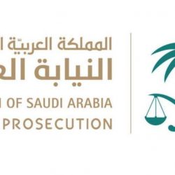 ثلاثون فنان وفنانه يشاركون ورشة الفن الانطباعي للماجد