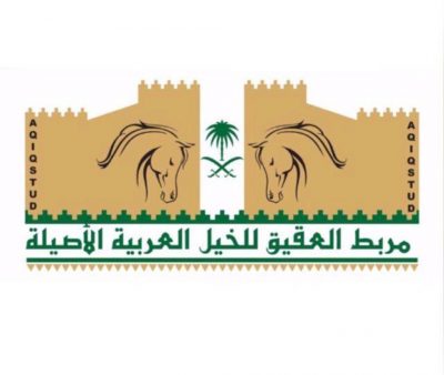 مربط العقيق للخيل العربية الأصيلة ينظم سباق تنشيطي للموسم الحالي