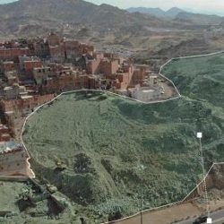 تسديد ( 500 ) بلاغ لمكافحة الجنادب السوداء بمكة المكرمة
