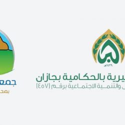 خادم الحرمين وولي العهد يهنئان سلطان بروناي دار السلام