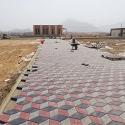 الإبتدائية الثلاثون تعزز قيمة الصحة