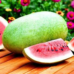 تدشين اليوم التوعوي عن الزواج الصحي بصحة مكة