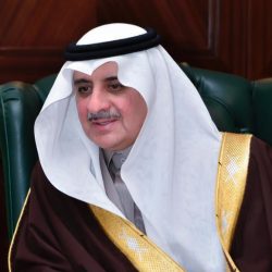 استغلال المرتفعات الجبلية بالمشاعر المقدسة والمنطقة المركزية في مشاريع التشجير استغلال المرتفعات الجبلية بالمشاعر المقدسة والمنطقة المركزية في مشاريع التشجير