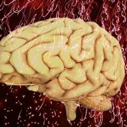 معرض الرياض الدولي للكتاب منارة ثقافية تجذب أكثر من مليون زائر سنوياً