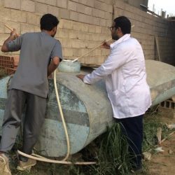 ٥ اركان توعوية وتثقيفية لمدينة الملك عبدالله الطبية بمهرجان الزهور بمكة